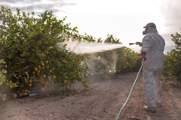 Best Pest Control Near Me  in Westbrook, ME